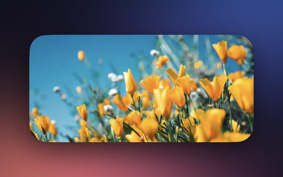 Photos widget at Medium size on a Mac lock screen